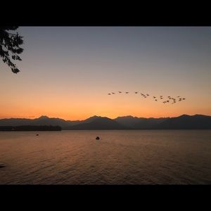 Meet your Posher, Trent